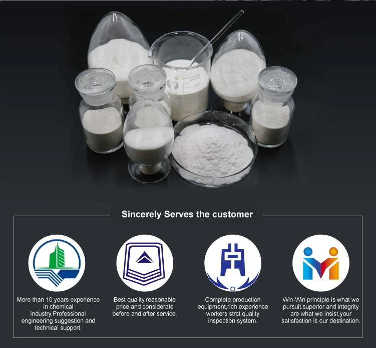 Modified Cellulose Ether HPMC as Thickener Rheological Agent in Water Based Paint