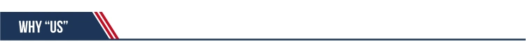 Modified Cellulose Ether HPMC as Thickener Rheological Agent in Water Based Paint